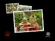 jw_weltderwunder050809_15.jpg