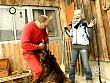 jw_schaudichschlau_080203_029.jpg