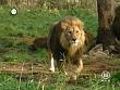 tiere_schaudichschlau_080323_085.jpg