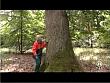 jw_schaudichschlau_081116_045.jpg