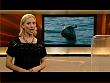 jw_skymagazin_090805_024.jpg