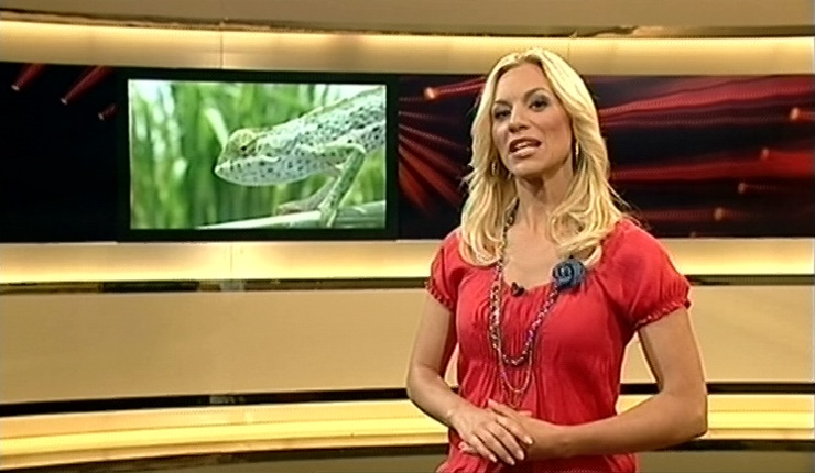 jw_skymagazin_100601_034.jpg