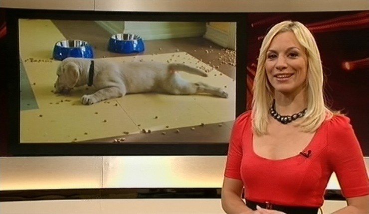 jw_skymagazin_101112_022.jpg