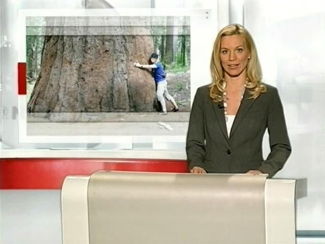 jw_rtl2_news_071125_31.jpg