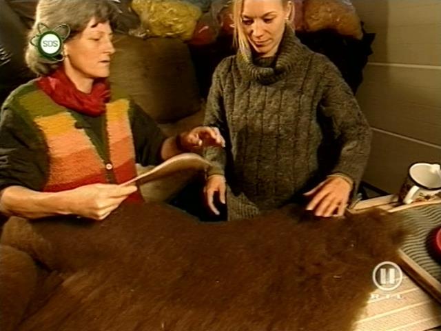 jw_schaudichschlau_080203_059.jpg