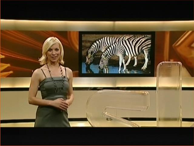 jw_skymagazin_090808_057.jpg