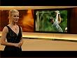 jw_skymagazin_090815_053.jpg