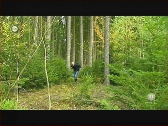 jw_schaudichschlau_091115_008.jpg