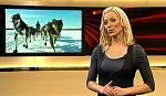 jw_skymagazin_100106_032.jpg