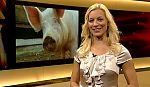 jw_skymagazin_100909_033.jpg