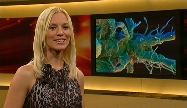 jw_skymagazin_101120_036.jpg